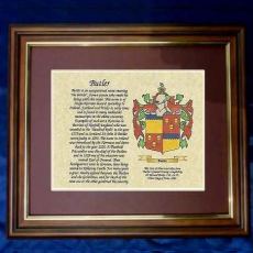 Green family crest and meaning of the coat of arms for the surname