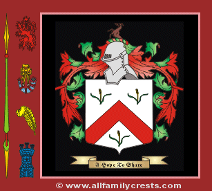 Raid Name Meaning, Family History, Family Crest & Coats of Arms